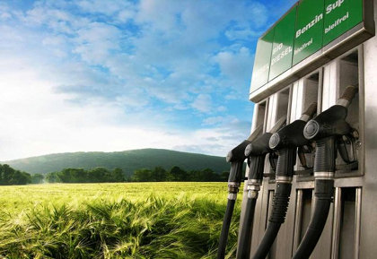 Cameroun: on réfléchit à la production de biocarburants