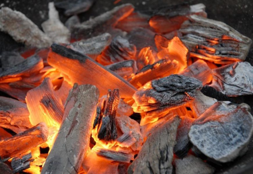 Cameroun: l’utilisation du charbon de bois a emporté 18500 hectares de forêts en 2015