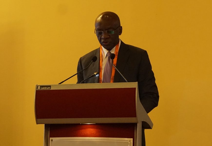 Afrique centrale: le président du PEAC appelle à passer “à l’action” dans l’interconnexion effective des réseaux électriques