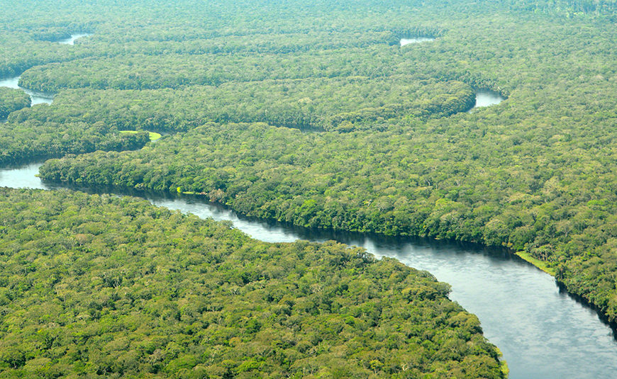 La RDC défend son droit à rechercher du pétrole sur l’étendue de son territoire…y compris dans les parcs nationaux