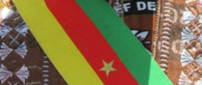 Cameroun: appelé à choisir entre le Sénat et Cotco, société spécialisée dans le transport du pétrole, Calvin Zang Oyono opte pour la chambre haute