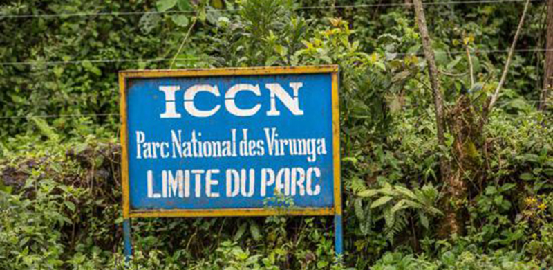 Une ONG plaide pour la non-exploitation de pétrole dans deux parcs naturels de la RDC