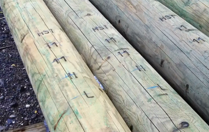 Cameroun: Eneo suspend les approvisionnements en poteaux bois auprès de ses sous-traitants pour des questions de “normes”