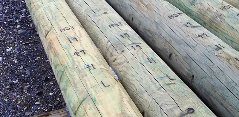 Cameroun: Eneo suspend les approvisionnements en poteaux bois auprès de ses sous-traitants pour des questions de “normes”