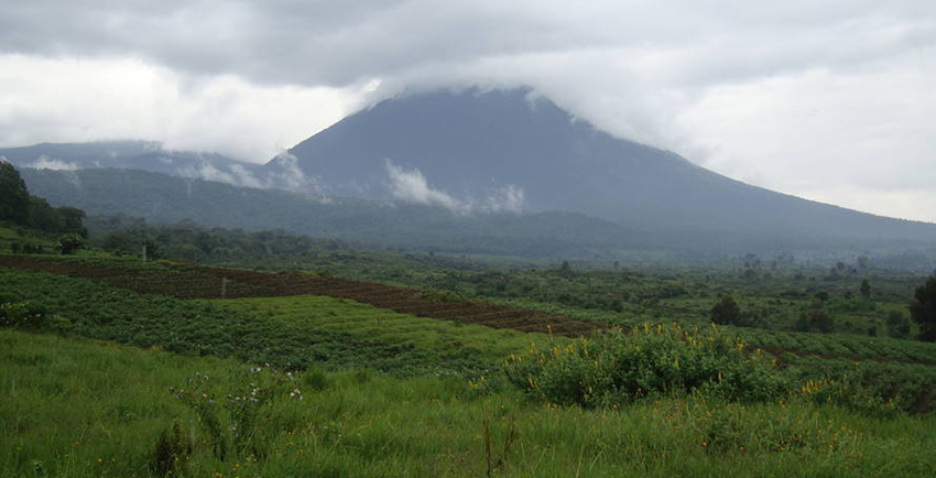 RDC: projet confirmé de « déclassement par décret d’une zone à intérêt pétrolier » dans les parcs des Virunga et de la Salonga