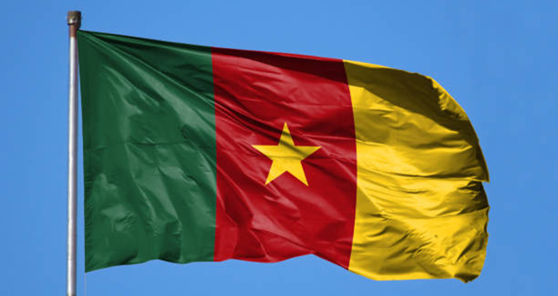 Cameroun: avis favorable du gouvernement pour la prolongation du contrat d’exploration du bloc Thali d’une année (opérateur)