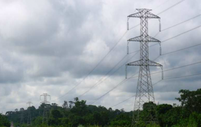Cameroun/électricité:la puissance installée est passée de 900 MW en 2011 à 1442 MW en 2018 (gouvernement)