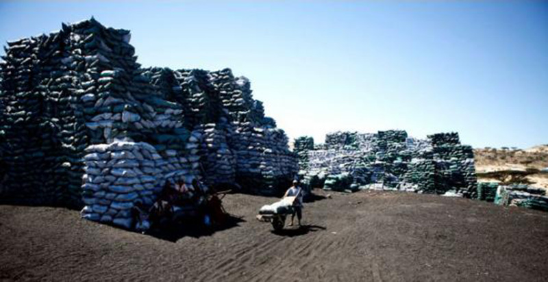 Des cargaisons illicites de charbon de bois somalien transitent par l’Iran pour les Emirats arabes unis ou Oman (ONU)
