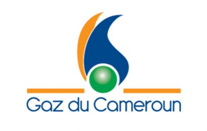 Cameroun: accord de la présidence de la République pour l’exploitation du bloc Matanda par Gaz du Cameroun et Afex