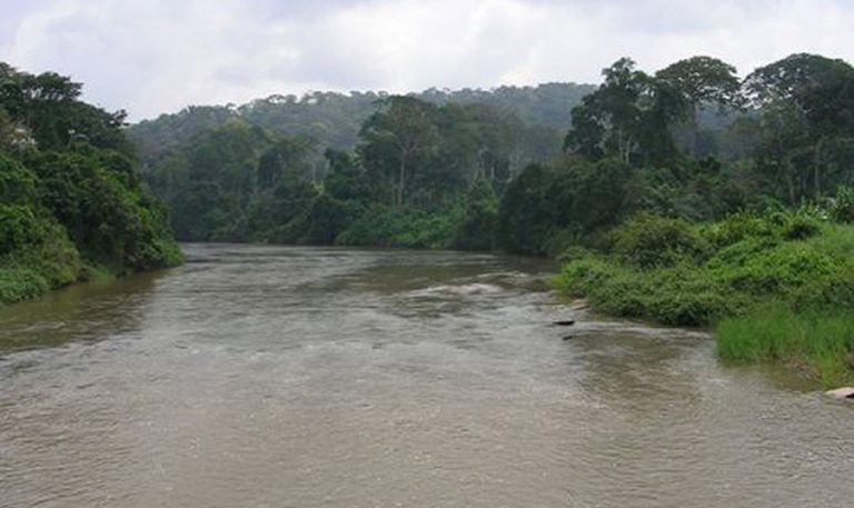 Cameroun “une Entité Doit Avoir Les Pouvoirs Nécessaires Pour Gérer Efficacement Le Bassin De 