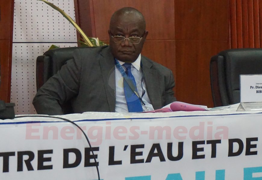 Cameroun: le projet Memve’ele II permettra d’exploiter 600 MW de puissance additionnelle dans les gorges du fleuve Ntem (directeur du projet)