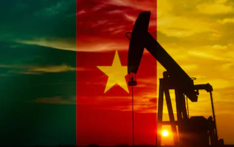 Cameroun: en 2018, l’Etat a encaissé 529,8 milliards de FCFA provenant du secteur pétrolier