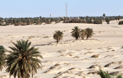 Libye/Pétrole: Sarir Oil Operations assumera le statut d’exploitant des zones 91 et 107 à partir de la mi-2020