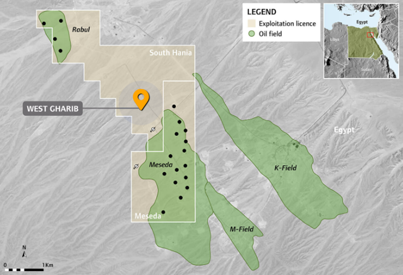 Egypte: le forage de trois puits planifié dans les concessions South Disouq et West Gharib au premier semestre 2020