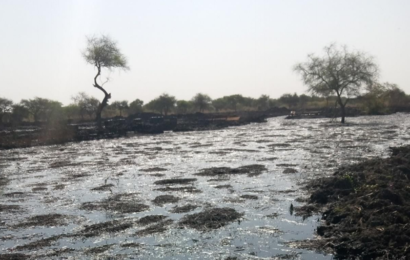 Le principal oléoduc d’exportation du Soudan du Sud aurait provoqué le déversement de près de 40 000 barils de pétrole dans la nature (ONG)