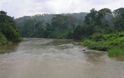 Cameroun: Hydromine a partagé avec le gouvernement l’EIES du projet hydroélectrique Grand Eweng