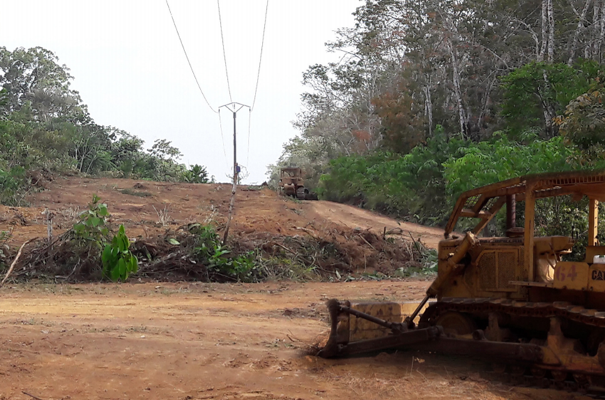 Cameroun: le nettoyage des lignes envahies par la végétation permet de réduire les coupures d’électricité (Eneo)