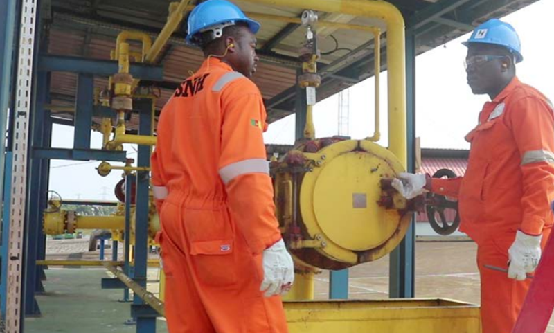 Cameroun: la Société Nationale des Hydrocarbures félicitée pour sa résilience