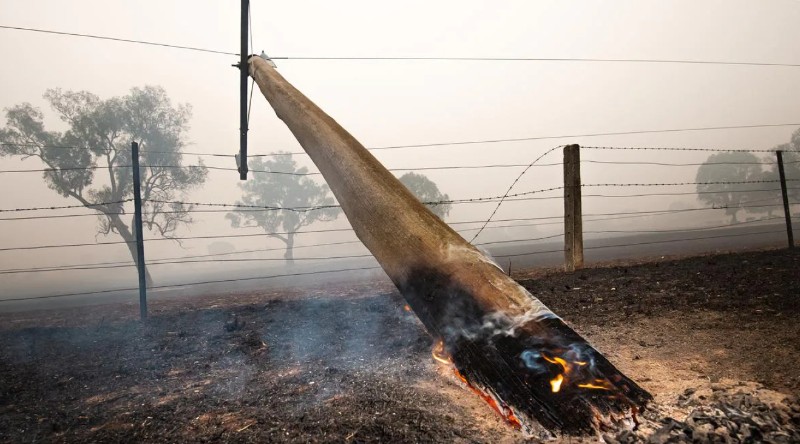 Cameroun: Eneo lie aussi les feux de brousse aux coupures d’électricité vécues par les populations