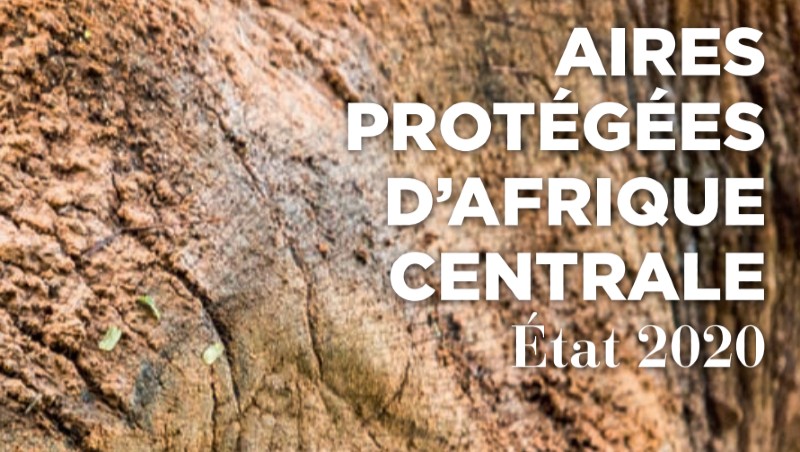 L’OFAC note une « pression importante des industries extractives » sur les aires protégées d’Afrique centrale