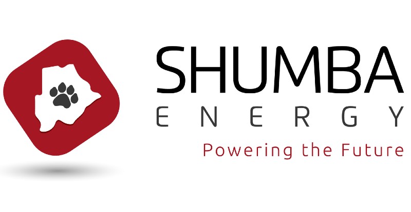 Botswana : les pouvoirs publics autorisent Shumba Energy à développer une centrale solaire de 100 MW près de Francistown