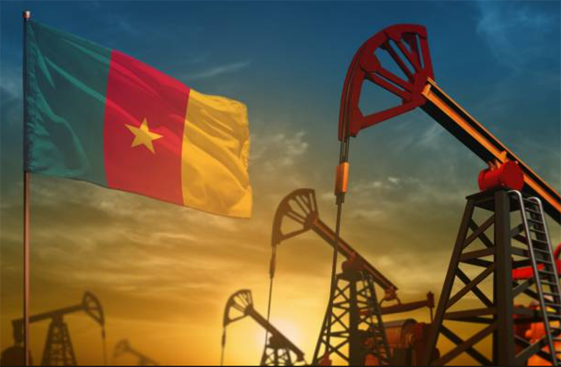 Cameroun: les statistiques des réserves pétrolières et gazières sur les sites en exploitation à fin 2020