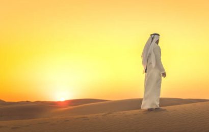 Les Emirats arabes unis lancent Etihad 7 pour financer des projets d’énergies renouvelables en Afrique