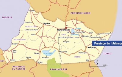 Cameroun/BIP 2022: les ressources et les projets retenus pour l’investissement public dans l’Adamaoua