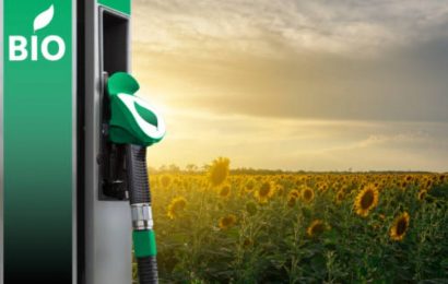 Mozambique: l’italien Eni scelle un partenariat avec le gouvernement pour la production de biocarburants