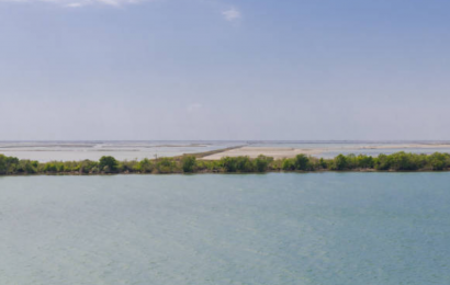L’Organisation pour la mise en valeur du fleuve Sénégal remporte le Grand Prix Mondial Hassan II de l’Eau 2022