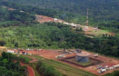 Gabon/Pétrole: Maurel et Prom a repris sa production à Ezanga au rythme normal