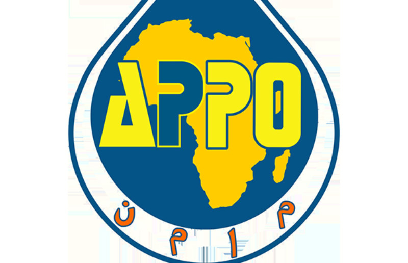 Financement des projets pétroliers : les pays membres de l’APPO envisagent une Banque africaine de l’énergie