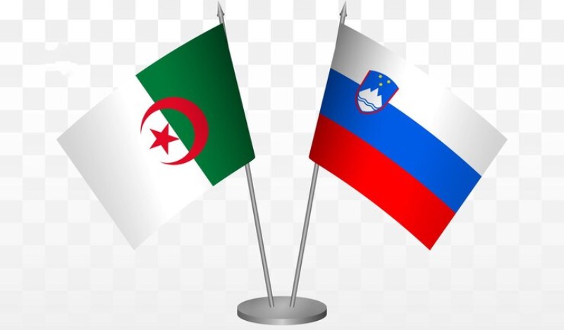Algérie : renforcement du partenariat gazier avec la Slovénie, pays d’Europe centrale