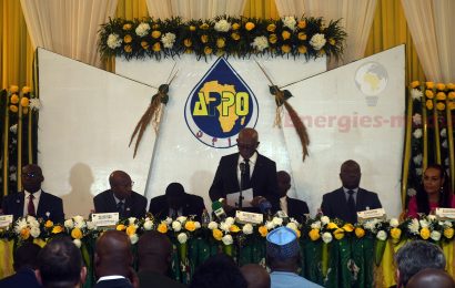 Au Cameroun, les pays africains producteurs de pétrole vent debout contre la transition énergétique “agressive”